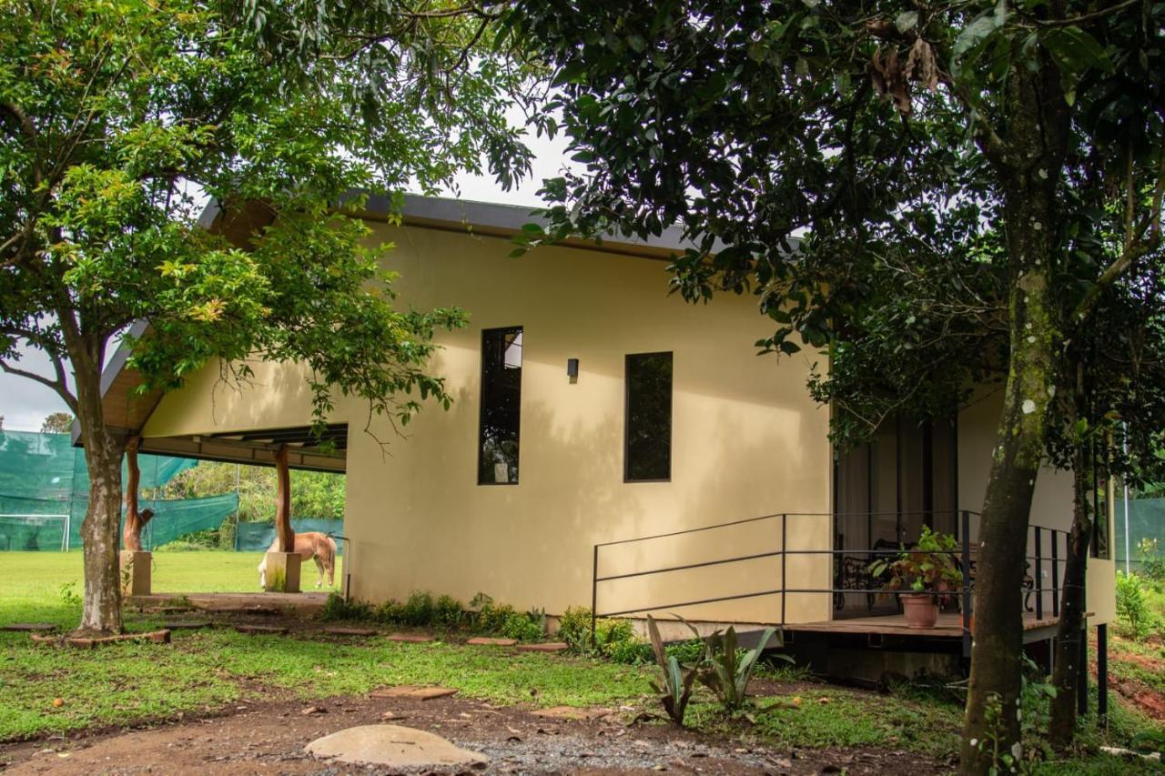 Appartamento Modern Loft Inside A Beautiful Farm General Viejo Esterno foto