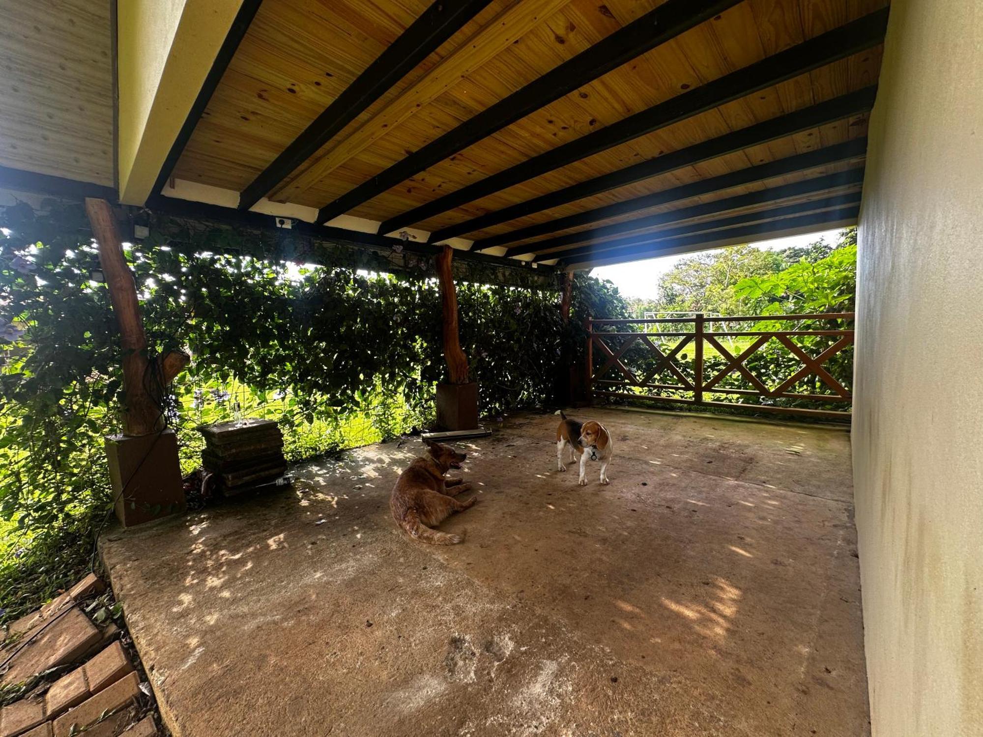 Appartamento Modern Loft Inside A Beautiful Farm General Viejo Esterno foto